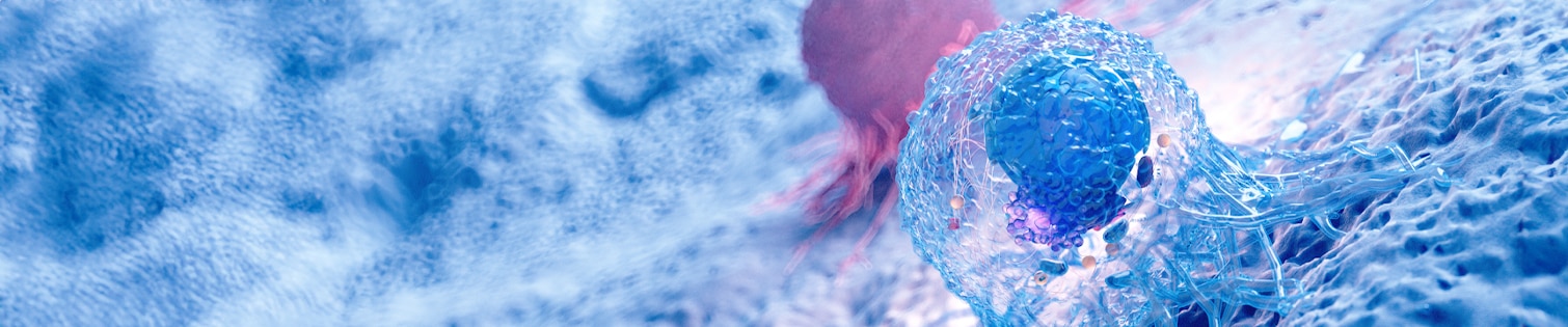 oncology header image